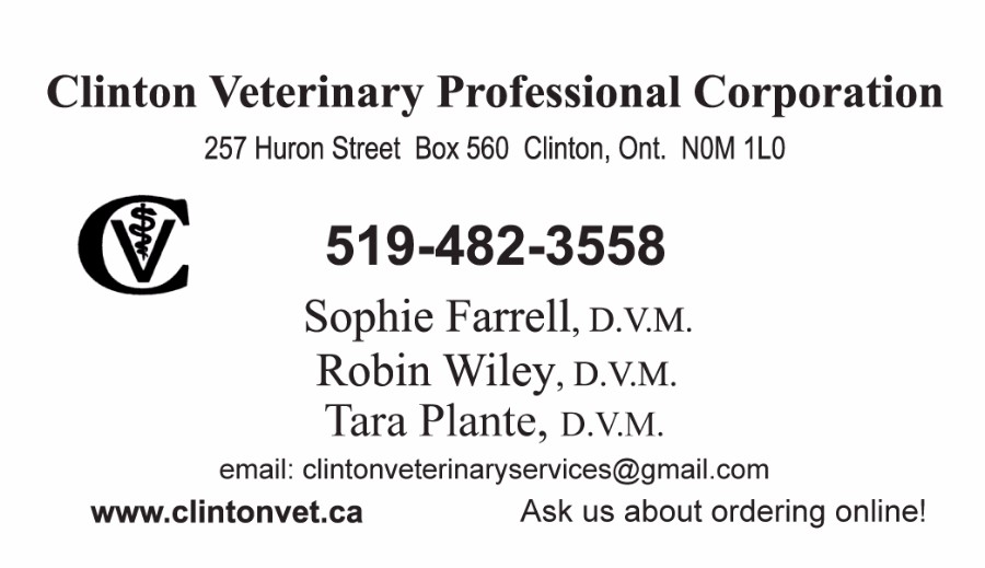 Clinton Veterinary Professional Corporation