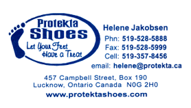 Protekta Shoes