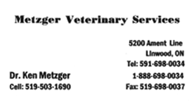 Metzger Veterinary Services