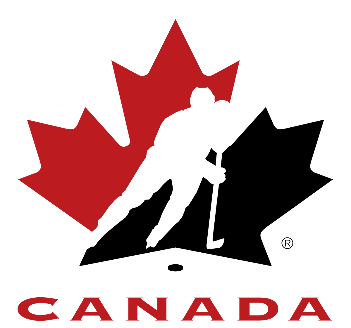 Tyler McGregor - Canada Sledge Hockey Photo
