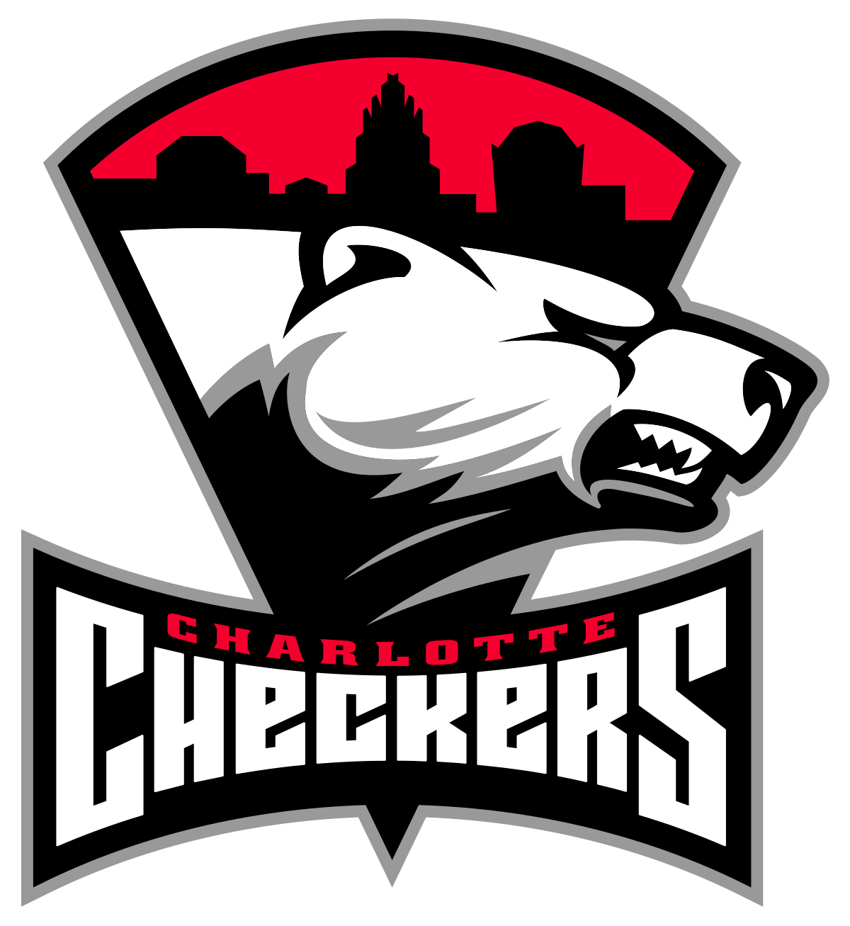Justin Peters - Charlotte Checkers Photo