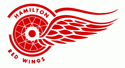 Josh Van Dyk - Hamilton Red Wings Photo