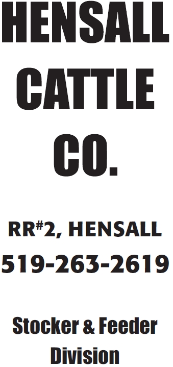 Hensall Cattle Co. Stocker & Feeder Division
