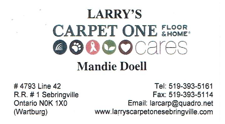 Larry's Carpet 