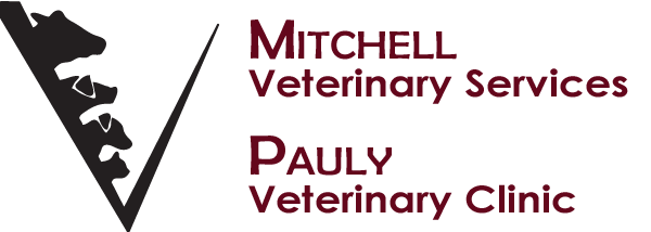 Mitchell Veteinary Services