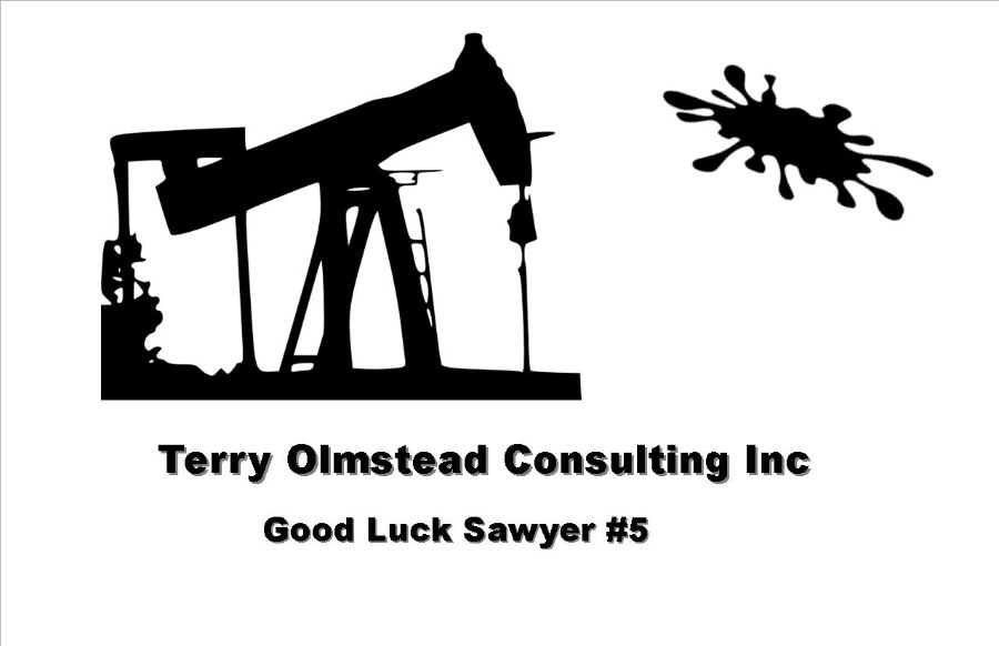 Terry Olmstead Consulting Inc.