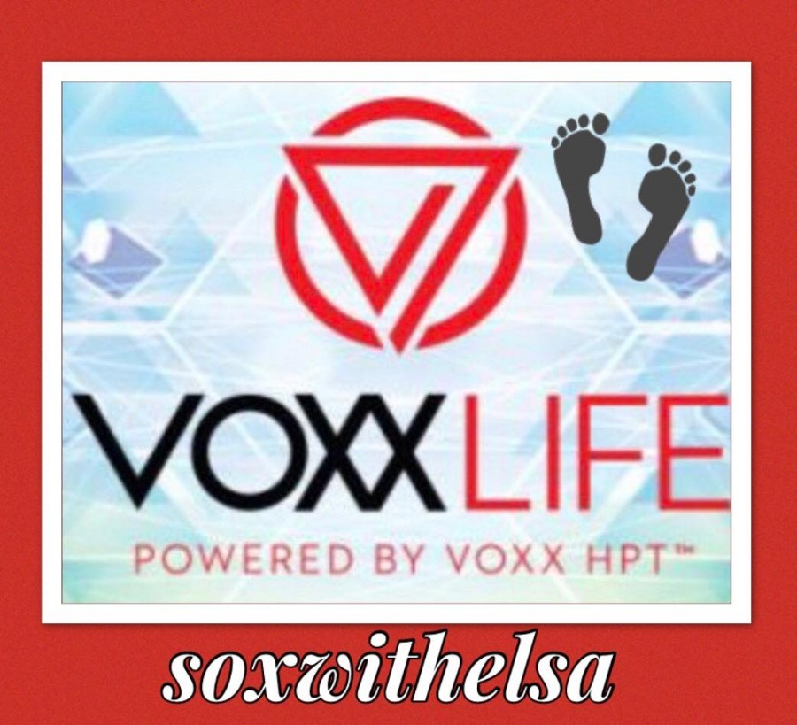 Voxx Life