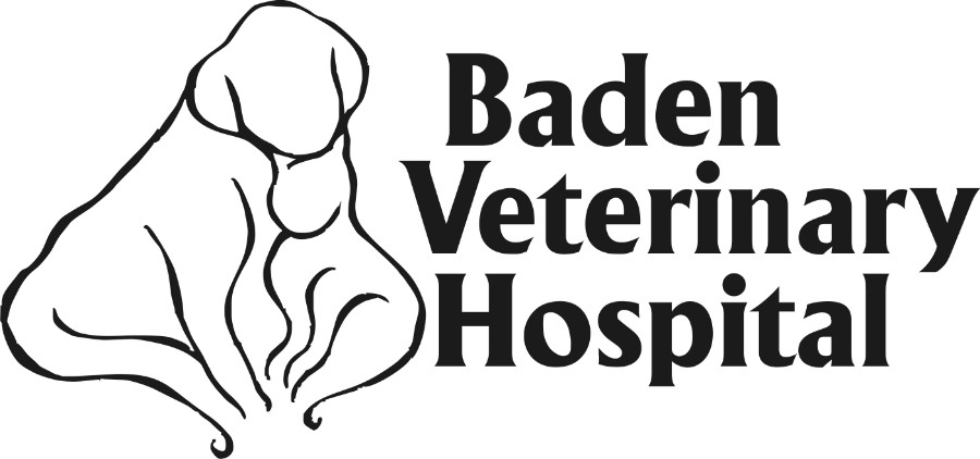 Baden Veterinary Clinic