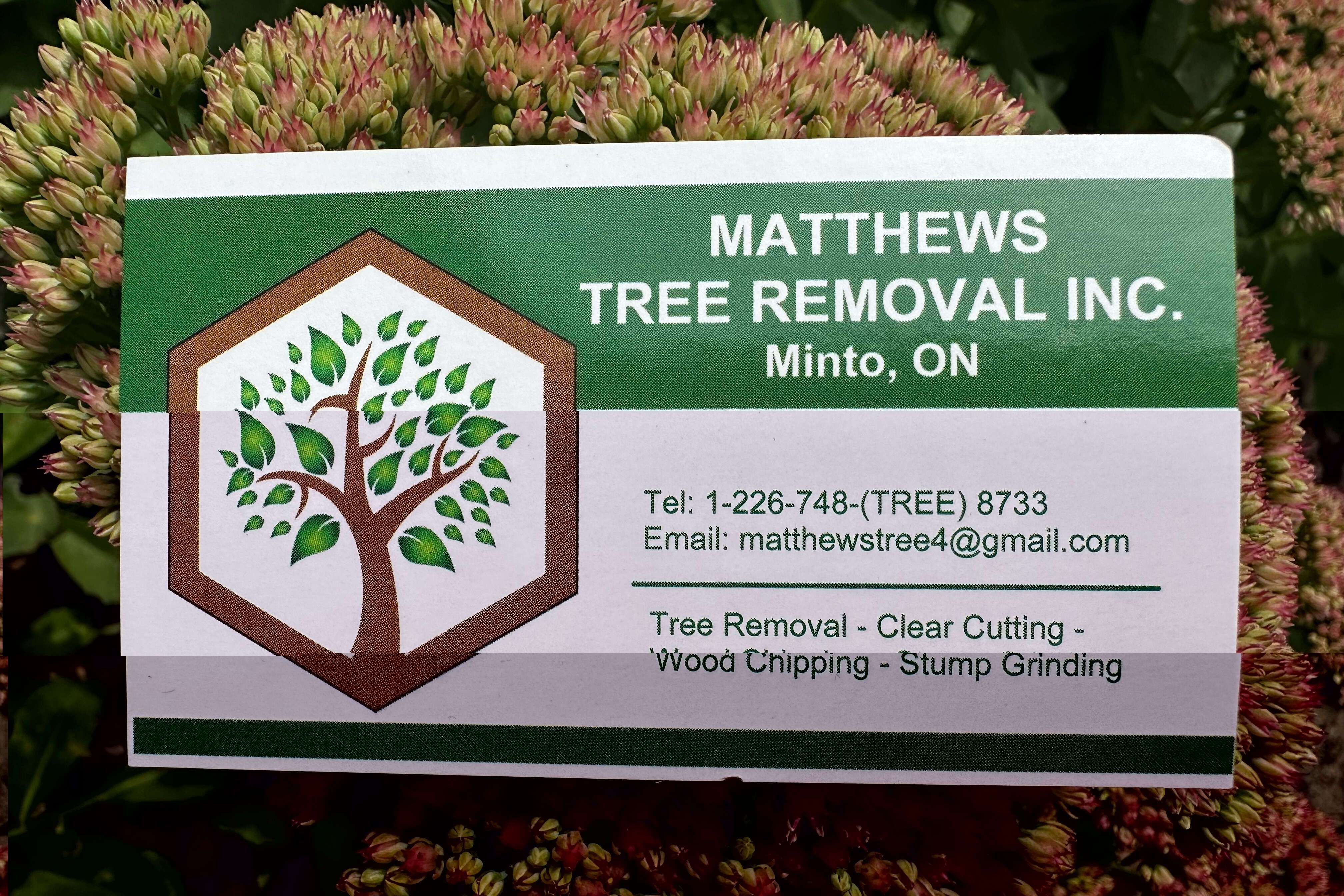 Matthews Tree Removal